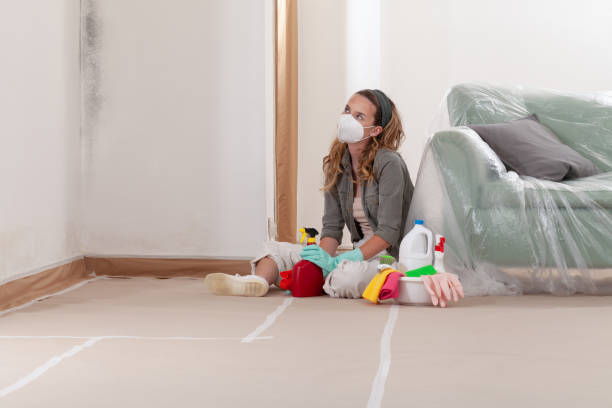 Reliable Mold Remediation contractor in Gore, VA by WQB Mold Removal